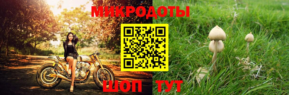 Галлюциногенные грибы MAGIC MUSHROOMS Старый Оскол